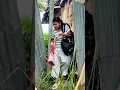 Download Lagu Santali funny video | Sujita CK #shorts #santali #santalivideo #santhali #santhalivideo #sujitack