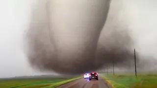 craziest nature videos of the decade