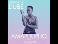 Download Lagu Nhlanhla Dube ft Soul Kulture  Amaphupho (Official)