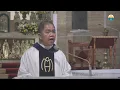Download Lagu Cathedral Homilies - August 22 (Msgr. Rolly)