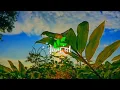 Download Lagu STORY'WA 30 DETIK HARI JUM'AT BERKAH || QOUTES KEREN HARI JUM'AT SHOLAWAT