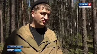 В деле о незаконных вырубках леса в Тарском районе может произойти крутой поворот