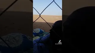 فيديو ريم لمشيط 2023 