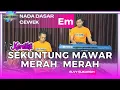 Download Lagu Sekuntum mawar merah - Elvi sukaesih nada cewek Em versi koplo