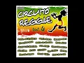 12   Filosofia Reggae   Leve a Vibração   Circuito Reggae 4