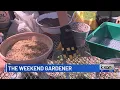 The Weekend Gardener Making soil that works for cacti succulents