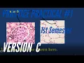 A P PRACTICE PRACTICAL 1st Semester Practice Practical Version C