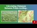 Calculating distances between points ArcMap