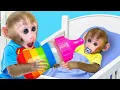 Download Lagu Monyet Bon Bon Imut memanen semangka di peternakan dan makan permen pelangi bersama teman bebek