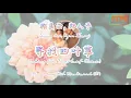 Download Lagu [LYRICS] Sunny Lai, Ryan Zhen - Looking for Four-Leaf Clover // Miss Crow With Mr.Lizard OST