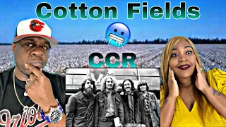 Download THIS BRINGS BACK MEMORIES!! CREEDENCE CLEARWATER REVIVAL - COTTONFIELDS (REACTION) MP3