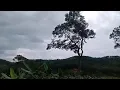 Download Lagu Dian piesesha pernahkah kau berdusta