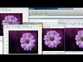 Image processing using MATLAB image into graylevel black and white image