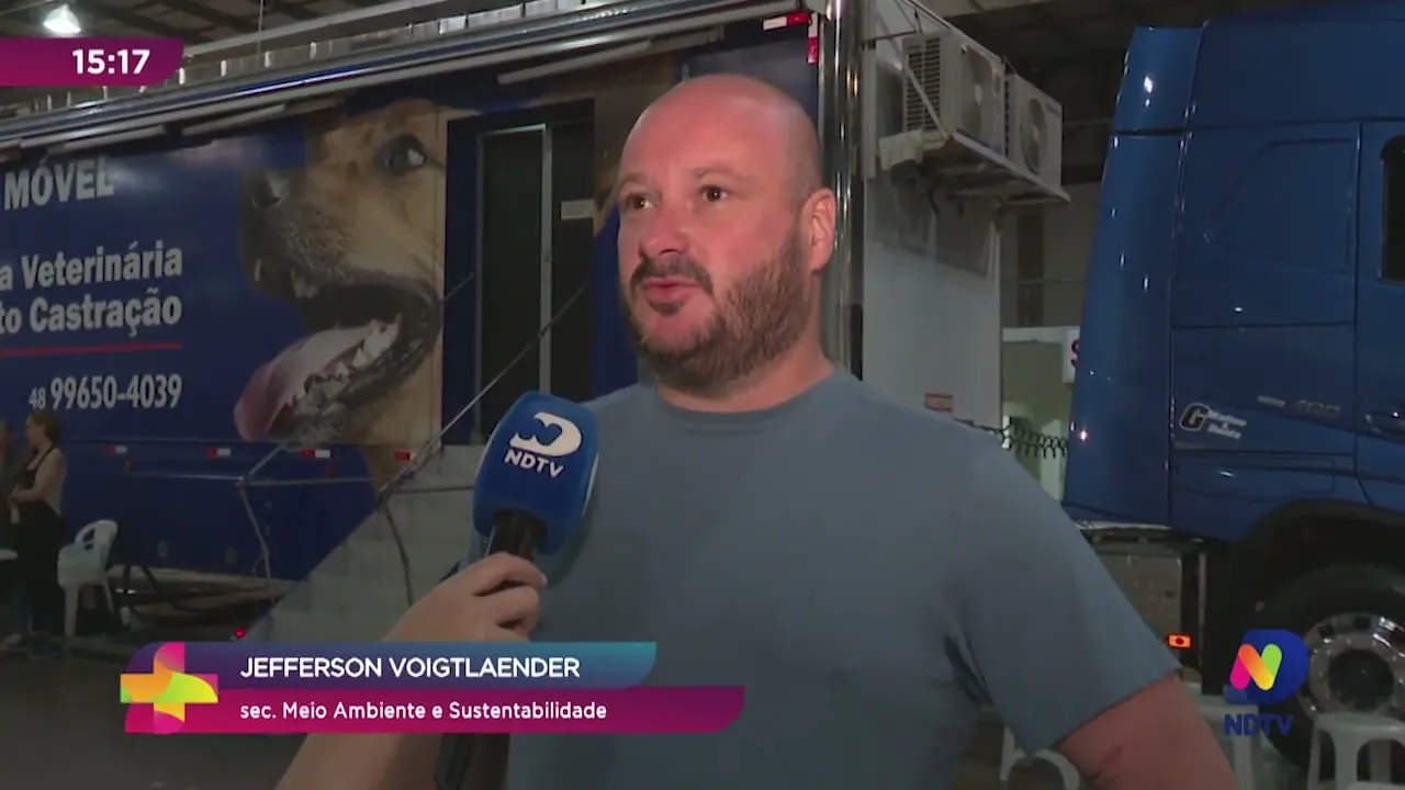 Mutirão de castração: mais de 1,3 mil animais devem ser castrados gratuitamente em Blumenau