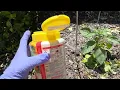 Review Sevin Insect Killer Dust for my Garden Bug Pest Problem - Cutworms Beetles Aphids