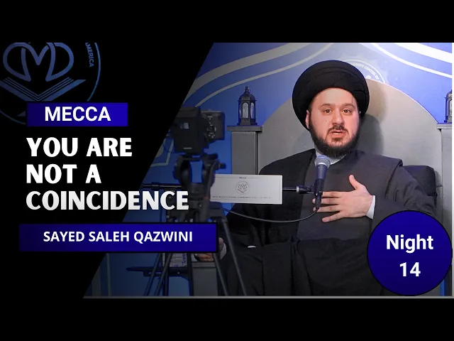 You Are Not a Coincidence - Sayed Saleh Qazwini
