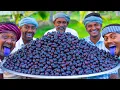 100kg JAVA FRUIT SWEET FRUIT JAM Recipe Cooking in Village NAVAL PAZHAM Black Plum Jamun Fruit