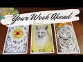 Download Lagu Your Detailed Week Ahead 🔮 What Will Happen? Next 7 days pick a card 🐜🦊🐯