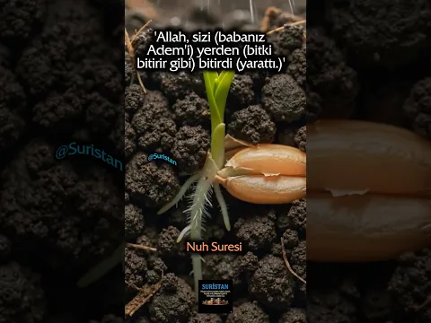  Allah, sizi (babanız Âdem'i) yerden (bitki bitirir gibi) bitirdi (yarattı.)'#nuhsuresi#reels#bitki#