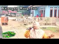 Download Lagu ANDI PUTRA 1 Kelangan Wong Tua Voc Winda Live Sukamandijaya Ciasem Tgl 27 Desember 2023