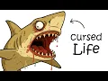 Why It Sucks to Be Born as a Lemon Shark