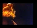 Vlog Looks Like a Long Line Canadian Border Tonight Blaine WA
