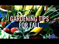Gardening Tips for Fall