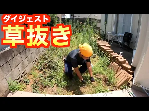 【11000円/10㎡≒６畳】手作業だから複雑な狭小地もスッキリ！損害保険適応☆