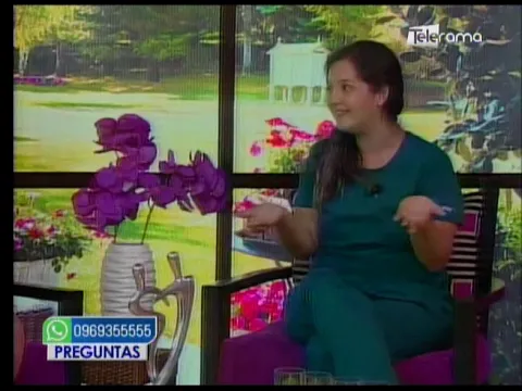 Embarazo en las mascotas 