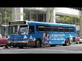 DENVER RTD BUS COMPILATION
