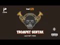 TROMPET SENTAK || REMIX 2024 || IRSAL PALEVI