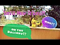 Download Lagu Baby Ian visited by New Friend on the Balcony
