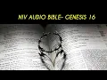 GENESIS 16 NIV BIBLE with text