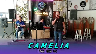 Download Chek Sound Voc Mr Eko Mc | CAMELIA - SAHABAT MUSIC Live Rindo Kopi Mojokerto MP3