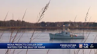NOAA predicts cooler deep water temperatures for the Gulf of Maine