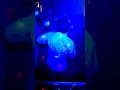 Download Lagu dj ishara🔊🎶
