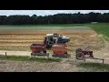 Gleaner F2 Combining Spelts at Daubenspeck Farms