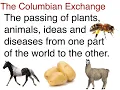 Columbian Exchange Chart
