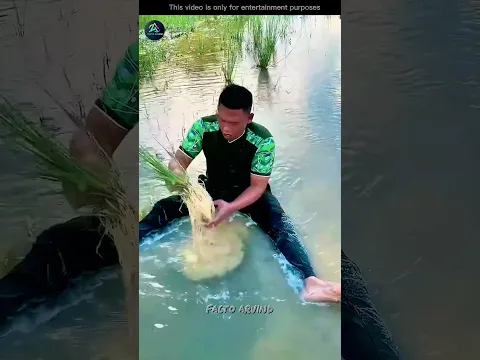 #bts