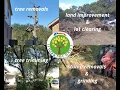 Central Texas Tree Service Company - Leander Tree Service