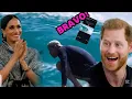Download Lagu Gone Viral: Harry’s Surfing Moment Redefines Royal Legacy Beyond the Palace