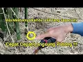Download Lagu Langsung Potong !!! Bila Melihat Bambu Unik Yang Seperti Ini