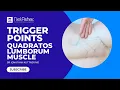 Trigger Point Release - Quadratus Lumborum