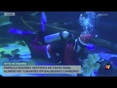 Mergulhadores vestidos de Papai Noel alimentam tubarões em Balneário Camboriú
