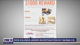 Authorities offer 1 000 for suspects behind abuse killings of dogs in Yakima FOX 13 Seattle