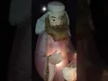 My Nativity scene and Inflatables December 2024 Part 2