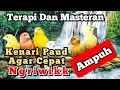 Download Lagu AUDIO TERAPI BURUNG KENARI PAUD NGRIWIK || DAN SUARA AIR