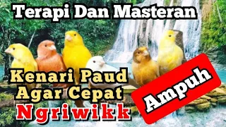 AUDIO TERAPI BURUNG KENARI PAUD NGRIWIK || DAN SUARA AIR