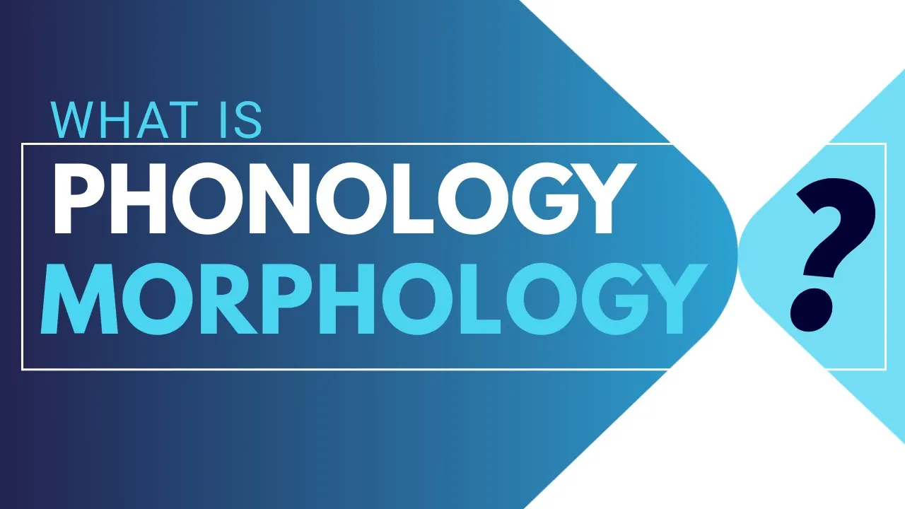 what is phonology and Morphology