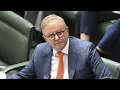 Download Lagu ‘Unbelievable’: Anthony Albanese under fire for filming TikTok’s during a housing crisis
